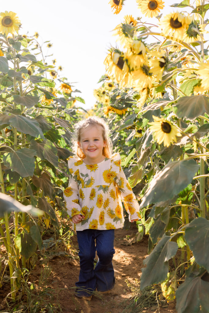 A girl taking a walk through a sunflower patch for fall family photos.